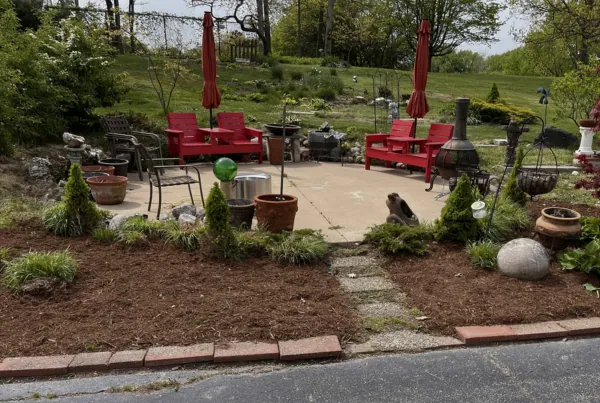 Flower Bed Restoration
