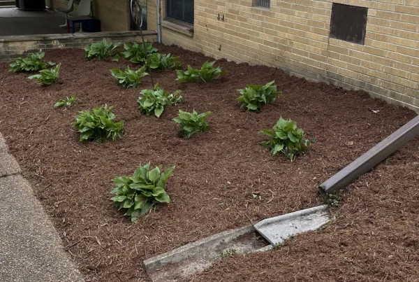 Flower Bed Restoration