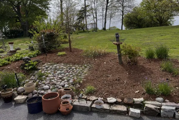 Flower Bed Restoration